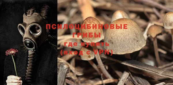 тгк Балабаново