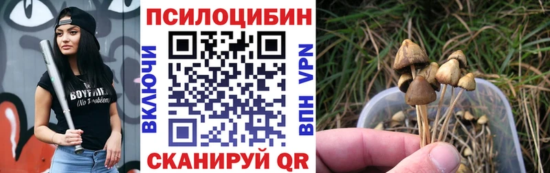 сколько стоит Нягань Галлюциногенные грибы Cubensis